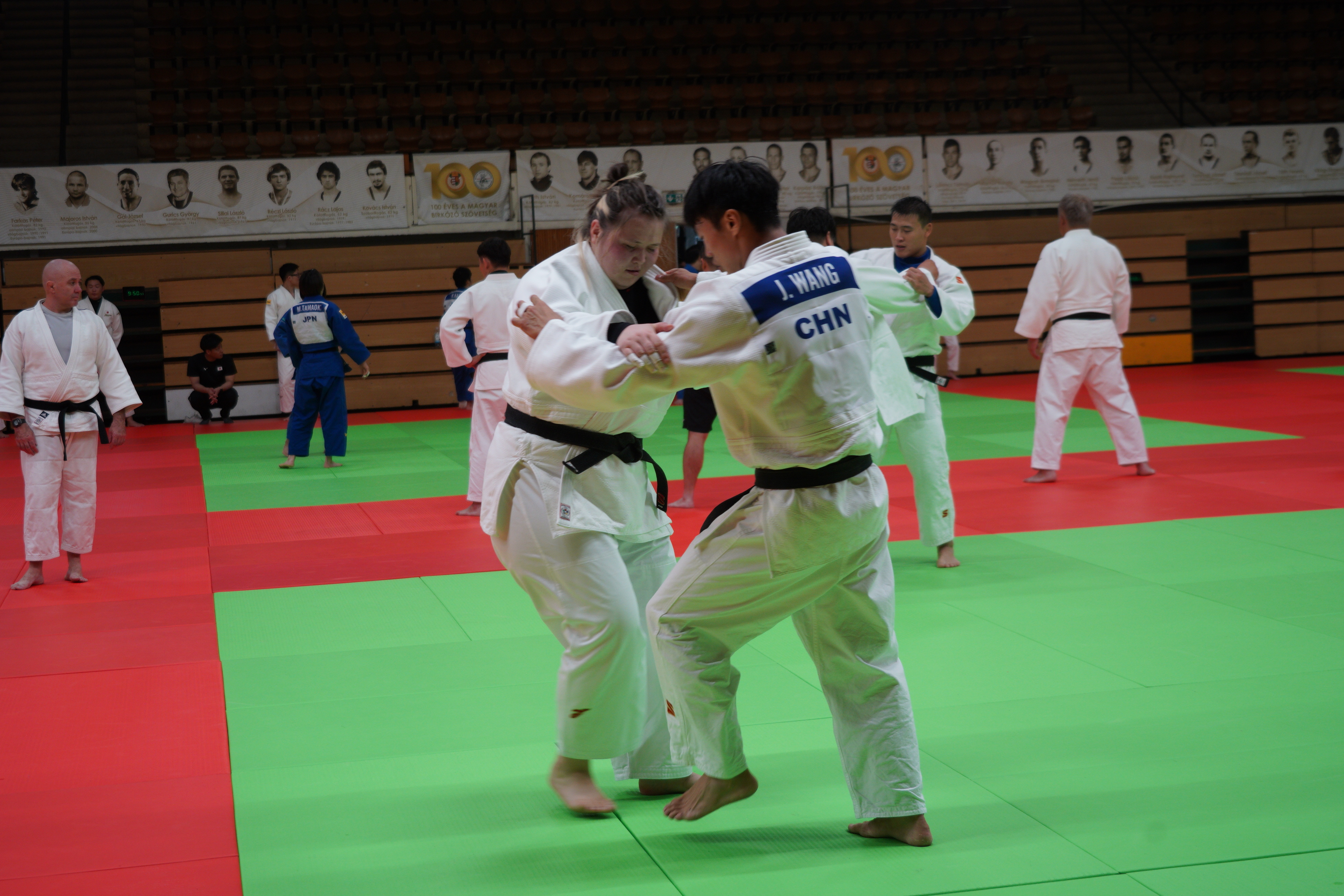 开云科技柔道常规赛掀起高潮，川蜀白虎队绝杀剑门天狼队，老将里程碑之夜——客场静默反击的简单介绍